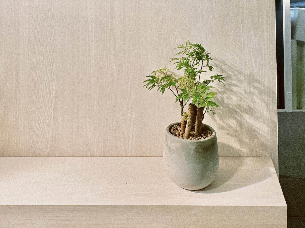 You are currently viewing 【綠色辦公】響應世界地球日：在 SYNC 鑫空間，環保是每一天的日常